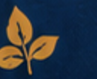 純淨天然